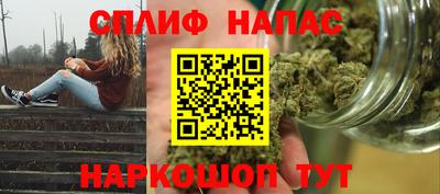 прущие грибы Волгодонск