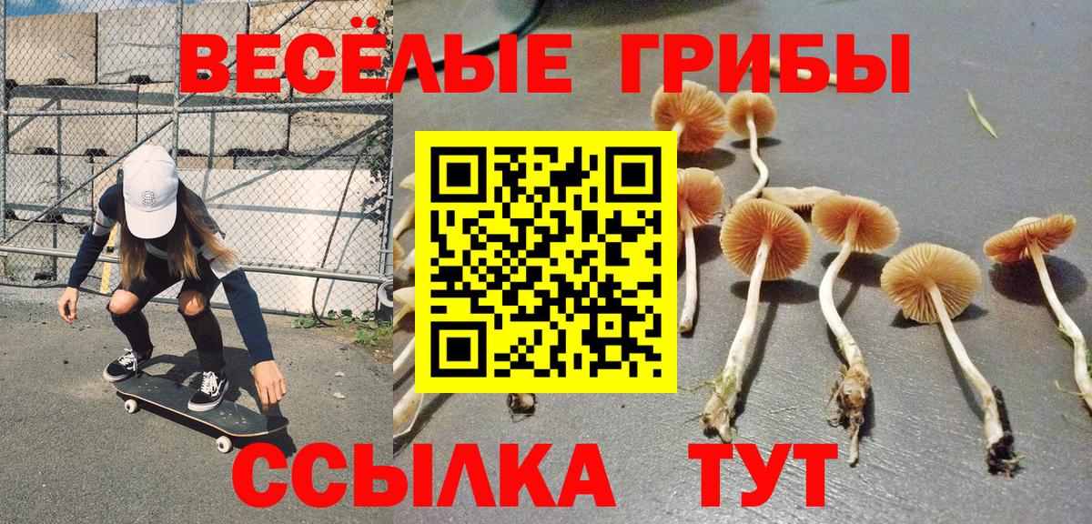 Нарткала  Галлюциногенные грибы MAGIC MUSHROOMS  Вход с VPN 